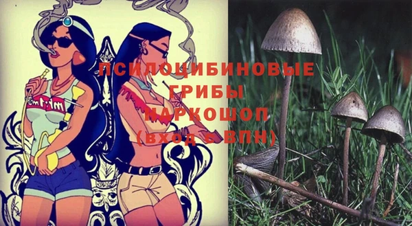 метадон Алзамай